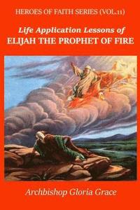 bokomslag Elijah the Prophet of Fire