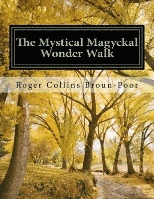 bokomslag The Mystical Magyckal Wonder Walk: A Decca Dimensional Coloring Story Book