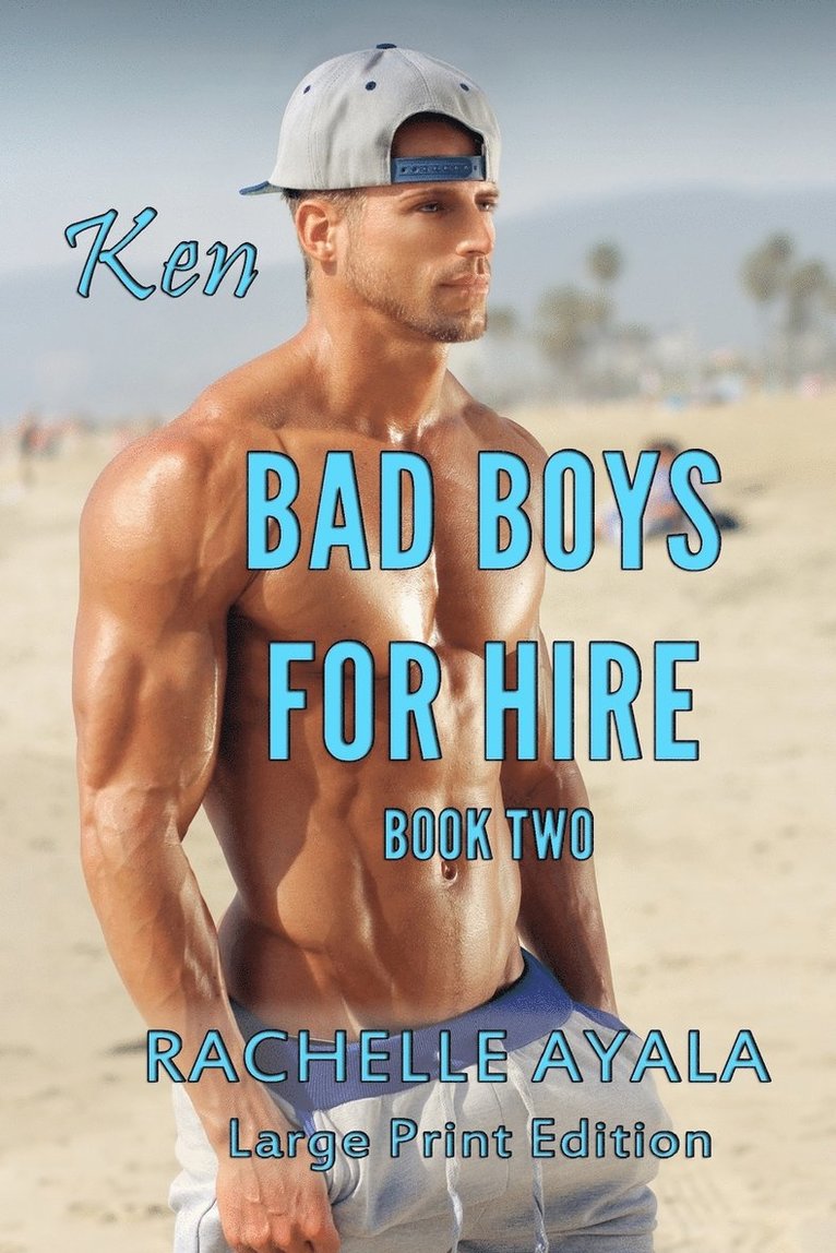 Bad Boys for Hire 1