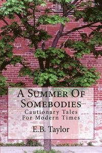 bokomslag A Summer of Somebodies