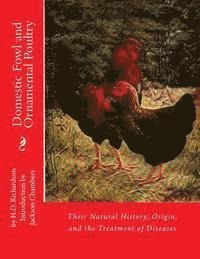 bokomslag Domestic Fowl and Ornamental Poultry: Their Natural History, Origin, and the Treatment of Diseases