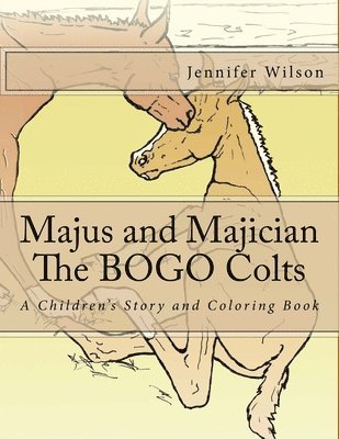 Majus and Majician, The BOGO Colts: A Children's Story and Coloring Book