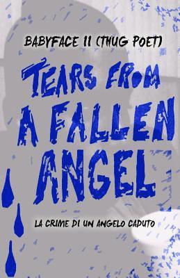 bokomslag Tears From A Fallen Angel