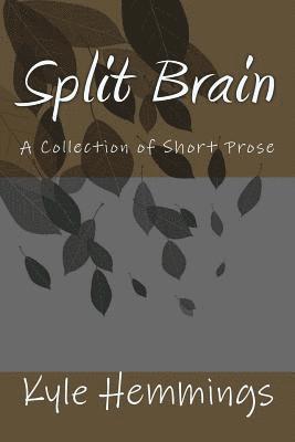 bokomslag Split Brain: A Collection of Short Prose