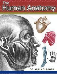 bokomslag The Human Anatomy Coloring Book: 2nd Edtion