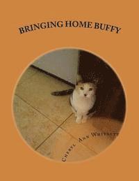 bokomslag Bringing Home Buffy