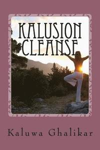 bokomslag Kalusion Cleanse: yZGC