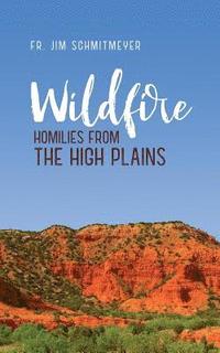 bokomslag Wildfire: Homilies from the High Plains