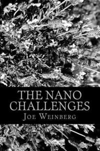 bokomslag The Nano Challenges: Four novels written on a dare