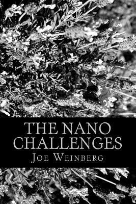 bokomslag The Nano Challenges: Four novels written on a dare