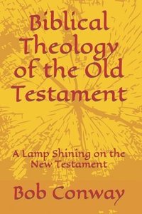 bokomslag Biblical Theology of the Old Testament: A Lamp Shining on the New Testament