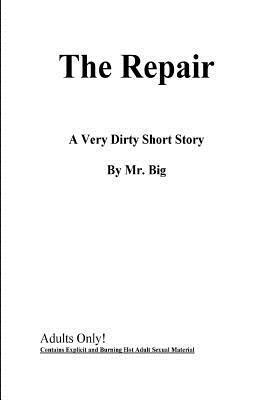 Big - The Repair, Häftad. Tillgänglighet: Lägg i varukorg
