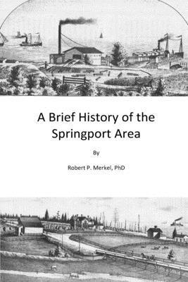 bokomslag A Brief History of the Springport Area