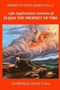 bokomslag Elijah the Prophet of Fire