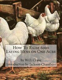 How To Raise 6000 Laying Hens on One Acre 1