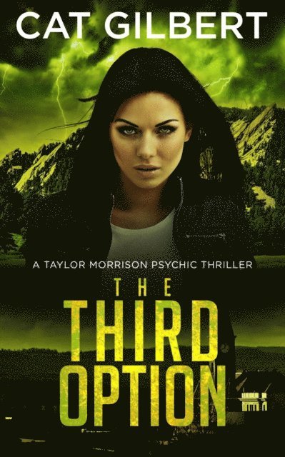 The Third Option: Taylor Morrison Series - Book 2 1