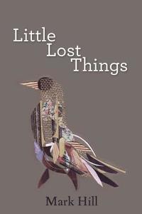 bokomslag Little Lost Things