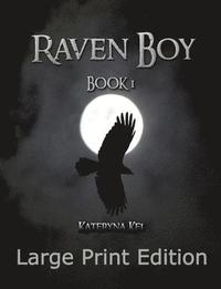 bokomslag Raven Boy Book 1