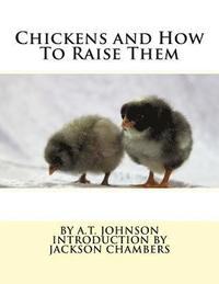 bokomslag Chickens and How To Raise Them