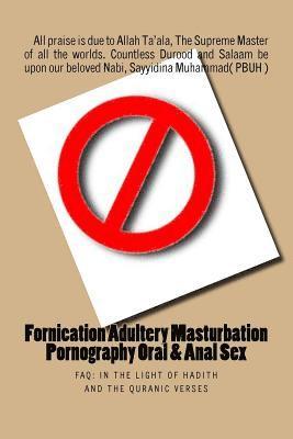 bokomslag Fornication Adultery Masturbation Pornography Oral & Anal Sex: FAQ: In the Light of Hadith and the Quranic verses