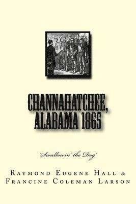 bokomslag Channahatchee, Alabama 1865: 'Swallowin' the Dog'