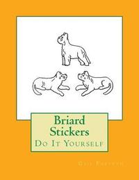 bokomslag Briard Stickers: Do It Yourself