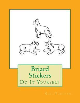 bokomslag Briard Stickers: Do It Yourself