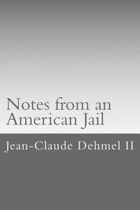 bokomslag Notes from an American Jail: One attorneys sixty days in the New Haven County Jail