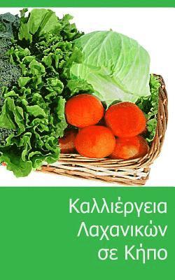 bokomslag Grow Vegetables in Your Garden