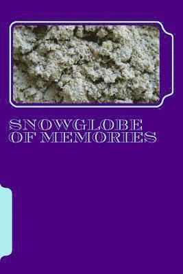 bokomslag Snowglobe Of Memories