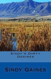 bokomslag Sindy's Dirty Desires