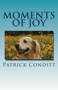 bokomslag Moments Of Joy
