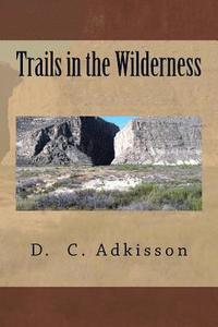 bokomslag Trails in the Wilderness