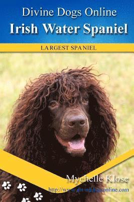 bokomslag Irish Water Spaniel