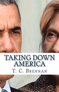 bokomslag Taking Down America: the Destructive Policies of Barack Obama and Hillary Clinton