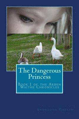 bokomslag The Dangerous Princess: Book 1 of the Arden Waithe Chronicles