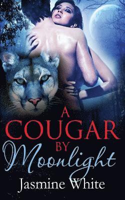 A Cougar By Moonlight 1