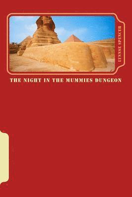 bokomslag The Night In The Mummies Dungeon: Chillers Series Book Two