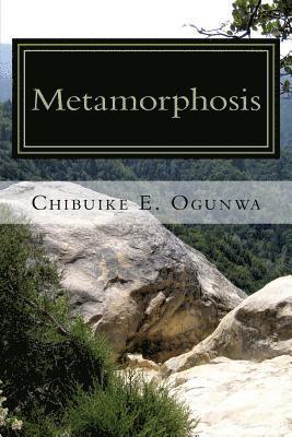 bokomslag Metamorphosis: An African Fiction