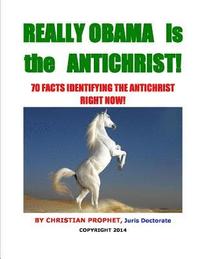 bokomslag Really Obama is the Antichrist!: 70 Facts Identifying the Antichrist Right Now!