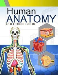 bokomslag Human Anatomy Coloring Book: Anatomy & Physiology Coloring Book 2nd Edtion