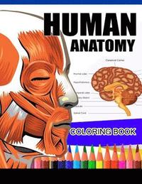 bokomslag Human Anatomy Coloring Book: Anatomy & Physiology Coloring Book (Complete Workbook)