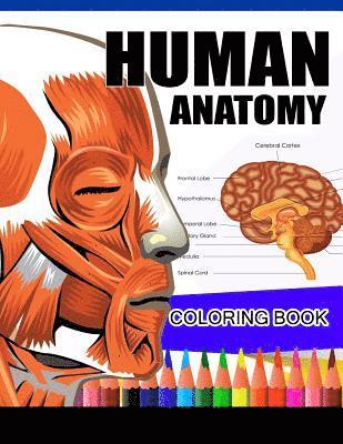 Human Anatomy Coloring Book: Anatomy & Physiology Coloring Book (Complete Workbook) 1