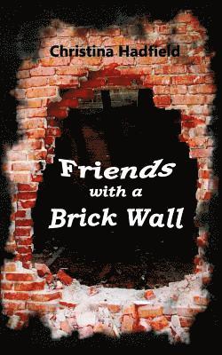 bokomslag Friends with a Brick Wall