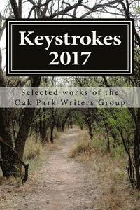 bokomslag Keystrokes 7: Selected Works From the Oak Park Writers Group