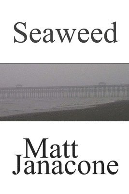 Seaweed 1