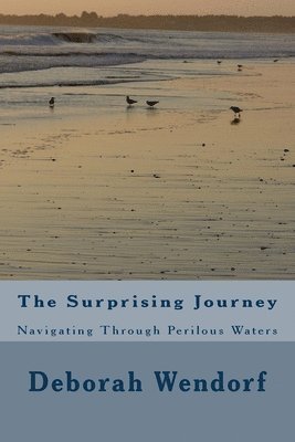 bokomslag The Surprising Journey: Navigating Through Perilous Waters