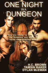 bokomslag One Night in a Dungeon: Anthology