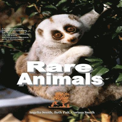 Rare Animals 1