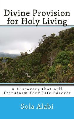 bokomslag Divine Provision for Holy Living: A Discovery that will Transform Your Life Forever